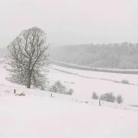 Katie's View * Cahir