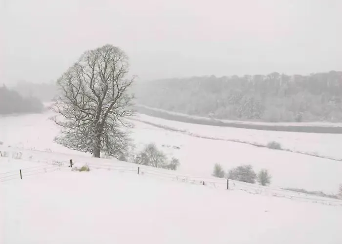 Katie's View * Cahir